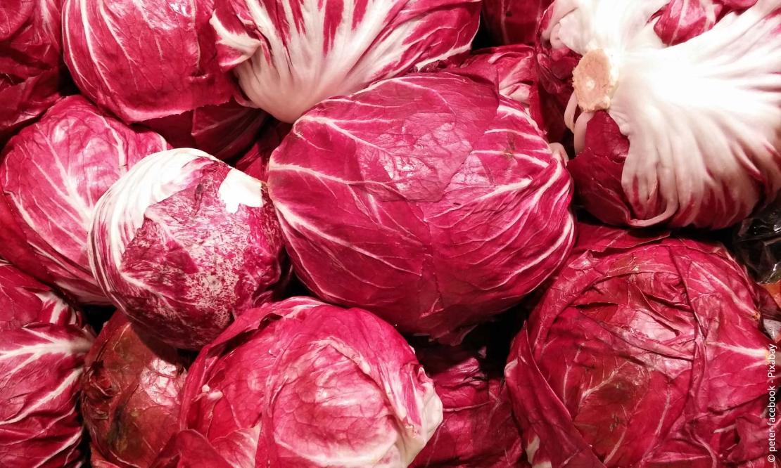 Radicchio (Cichorium intybus var. foliosum)