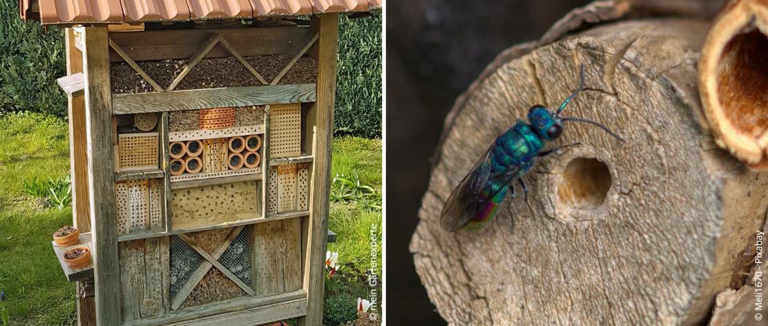Insektenhotel und Fliege