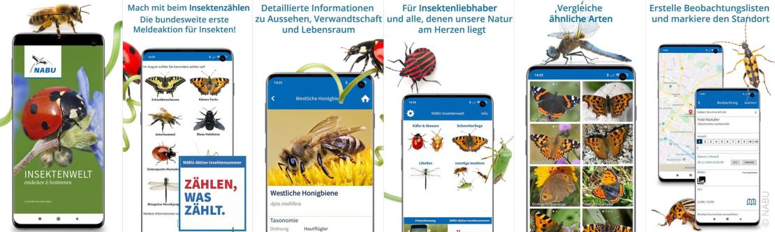 Screenshots der NABU Insektenwelt App