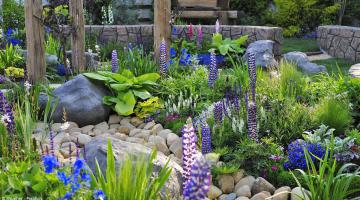 Nachhaltig gestalteter Garten