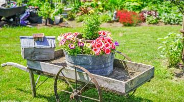 Gärtnern nach Bauernregeln: Wissenswertes und heutiger Nutzen