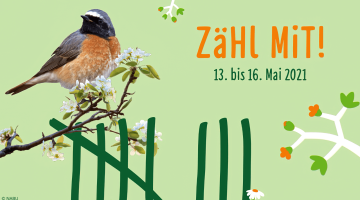 Stunde der Gartenvögel vom 13. bis 16. Mai 2021