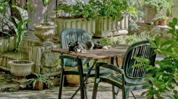 Gartentisch und Stühle