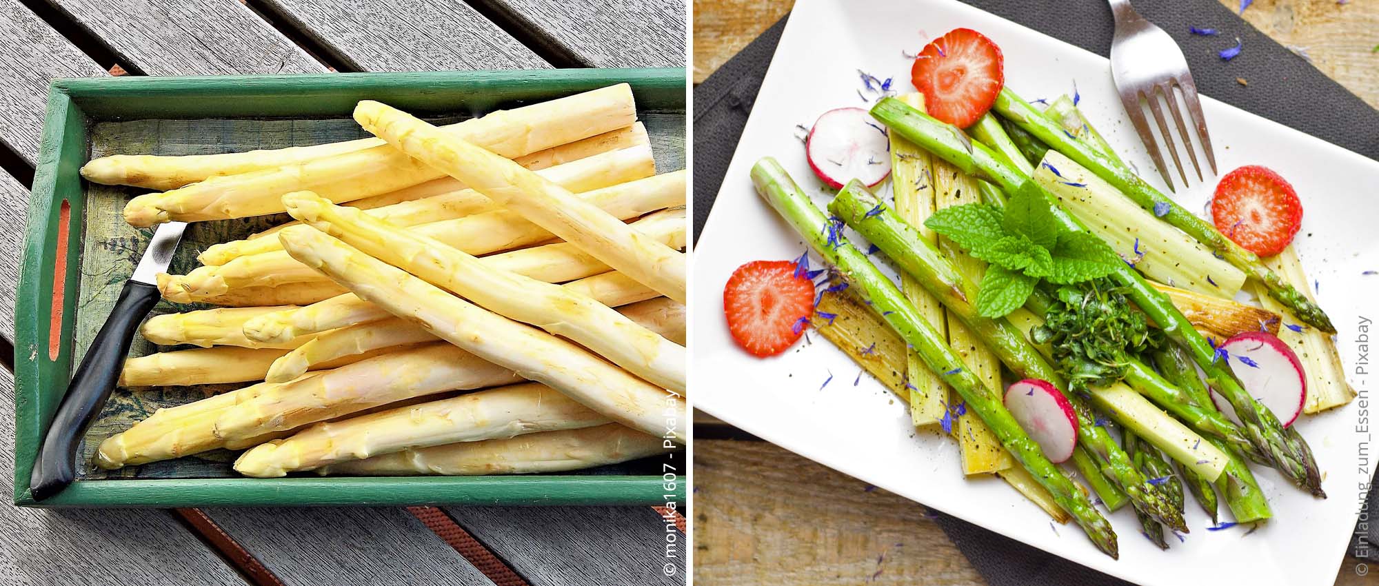 Spargel anbauen Tipps zu Pflege und Ernte der einzelnen Sorten